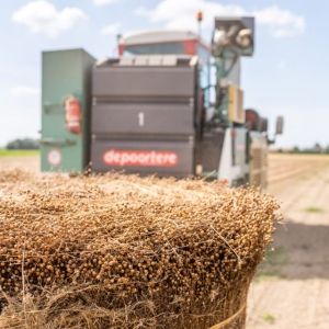 De opmars van biobased renoveren